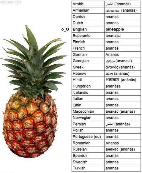 pineapple-in-other-languages.jpg