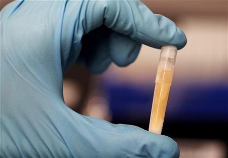 Solidified Yak Piss.jpg