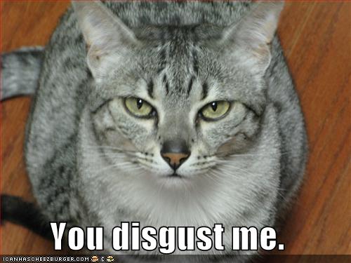 youdisgustme128584509973862255.jpg