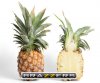 Pineapple_and_cross_section.jpg