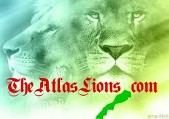 atlas-lion